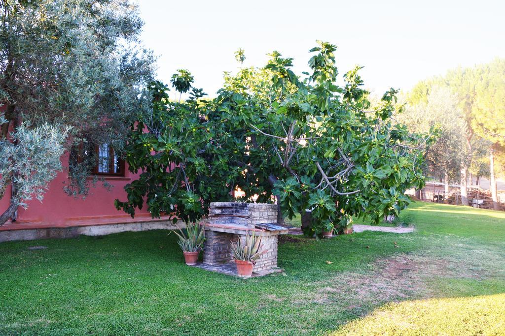 Agriturismo L'Aquilone Magliano in Toscana Esterno foto