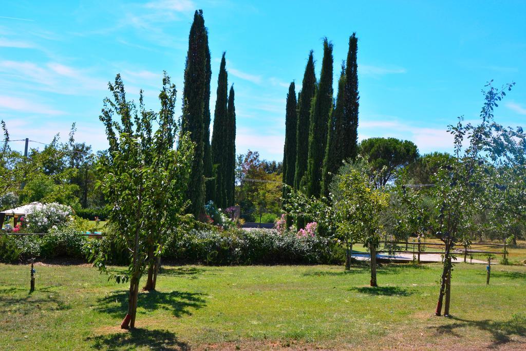 Agriturismo L'Aquilone Magliano in Toscana Esterno foto