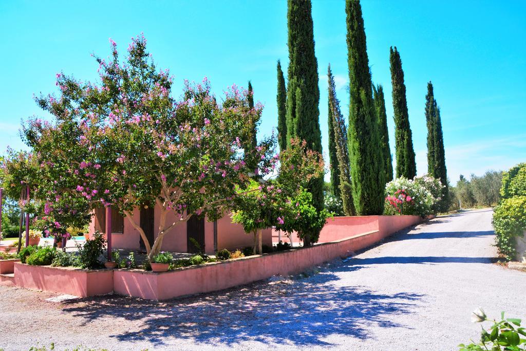 Agriturismo L'Aquilone Magliano in Toscana Esterno foto