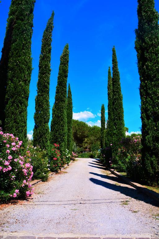 Agriturismo L'Aquilone Magliano in Toscana Esterno foto