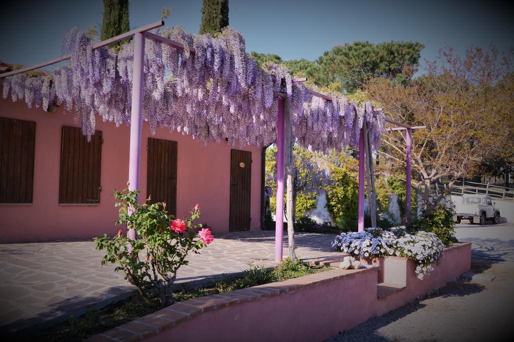 Agriturismo L'Aquilone Magliano in Toscana Esterno foto