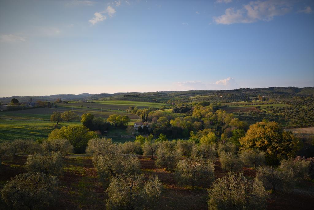 Agriturismo L'Aquilone Magliano in Toscana Esterno foto